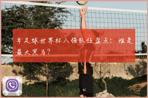 年足球世界杯八强队伍盘点：谁是最大黑马？