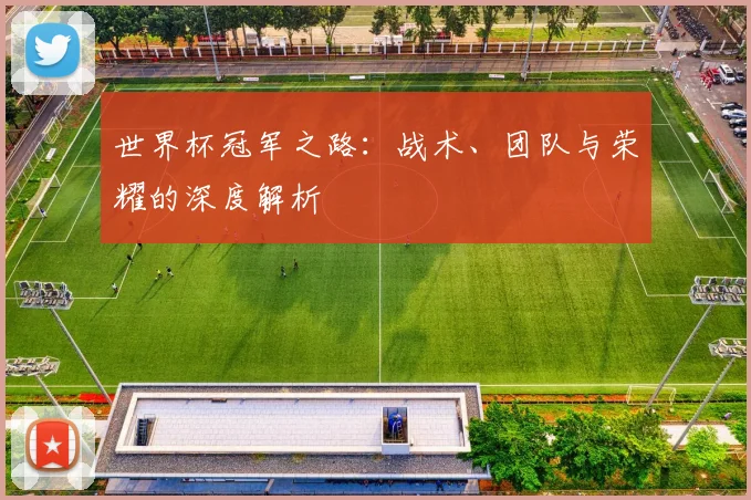 世界杯冠军之路：战术、团队与荣耀的深度解析