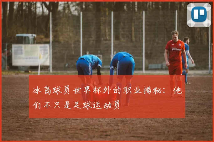 冰岛球员世界杯外的职业揭秘：他们不只是足球运动员