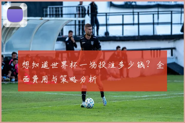 想知道世界杯一场投注多少钱？全面费用与策略分析