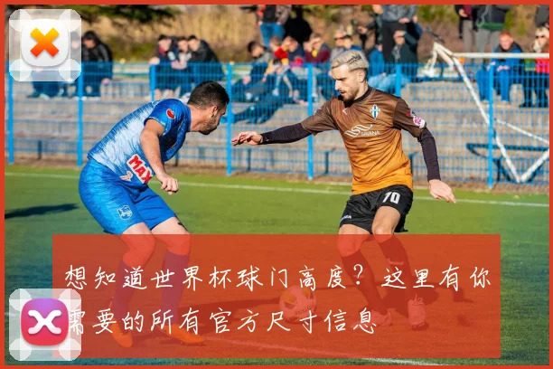 想知道世界杯球门高度？这里有你需要的所有官方尺寸信息