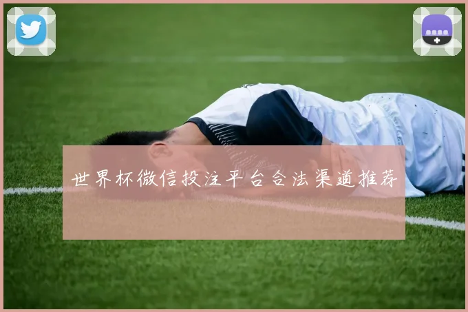 世界杯微信投注平台合法渠道推荐