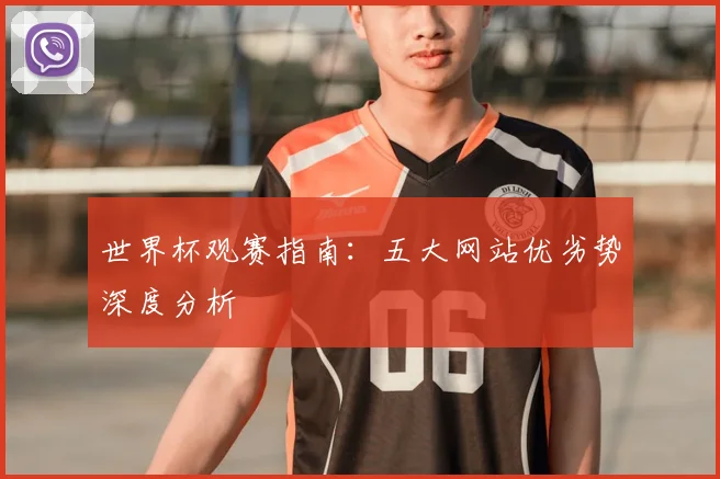 世界杯观赛指南：五大网站优劣势深度分析