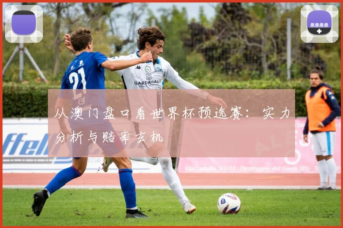 从澳门盘口看世界杯预选赛：实力分析与赔率玄机