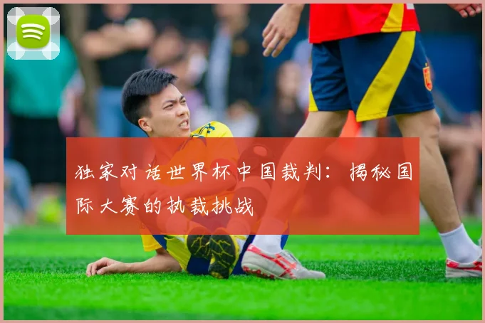 独家对话世界杯中国裁判：揭秘国际大赛的执裁挑战