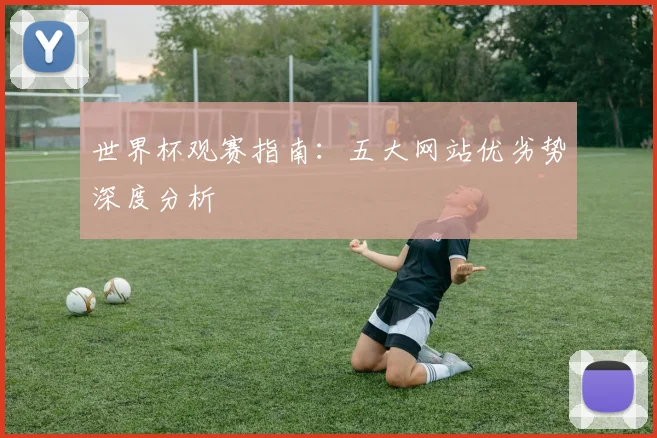 世界杯观赛指南：五大网站优劣势深度分析