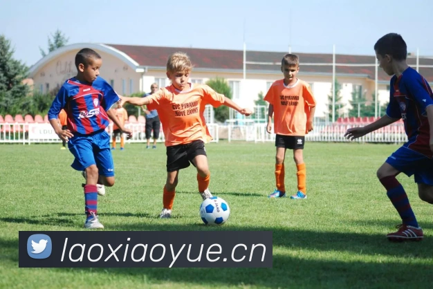 y1体育官网服务体系